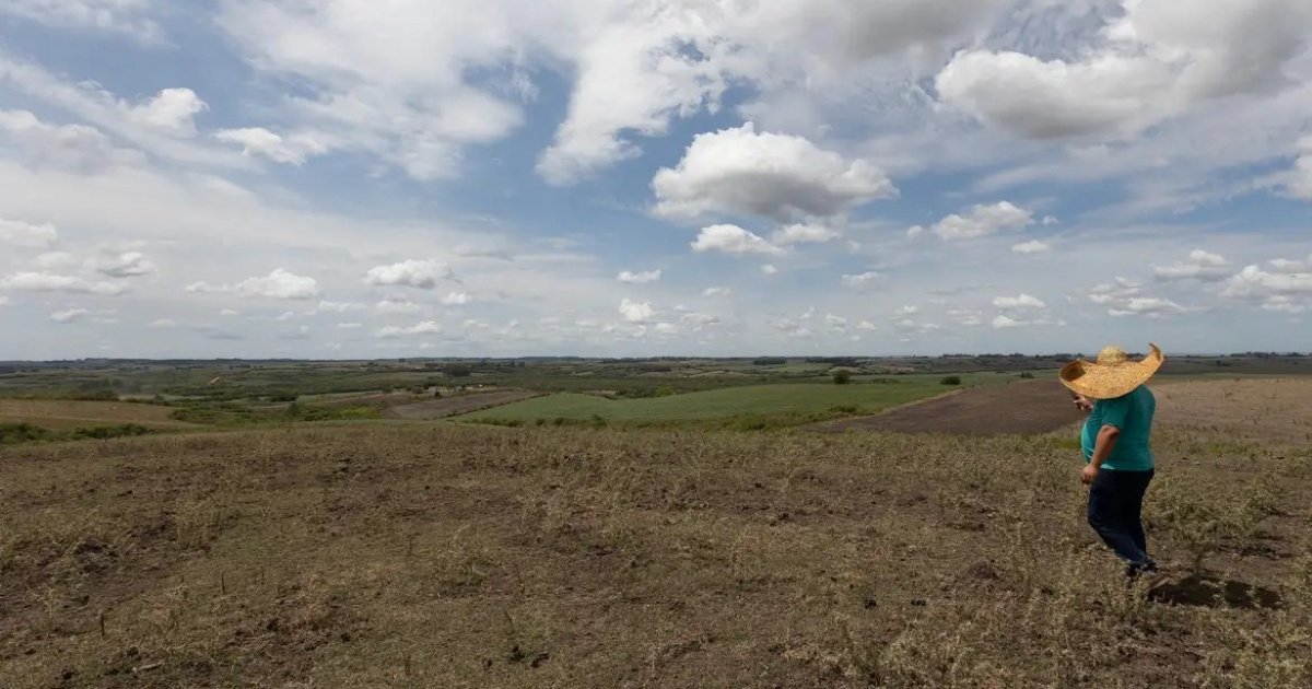 Bahia envia plano contra o El Niño e se destaca com investimento de R$ 30,5 mi - Bahia Notícias